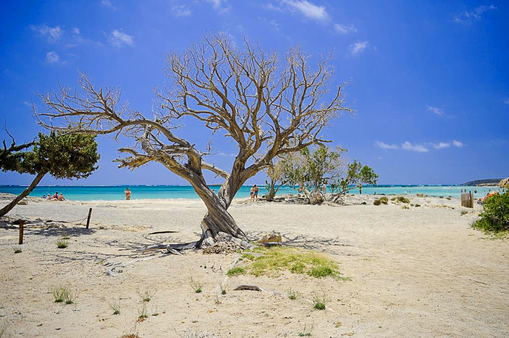 Elafonisi beach tour