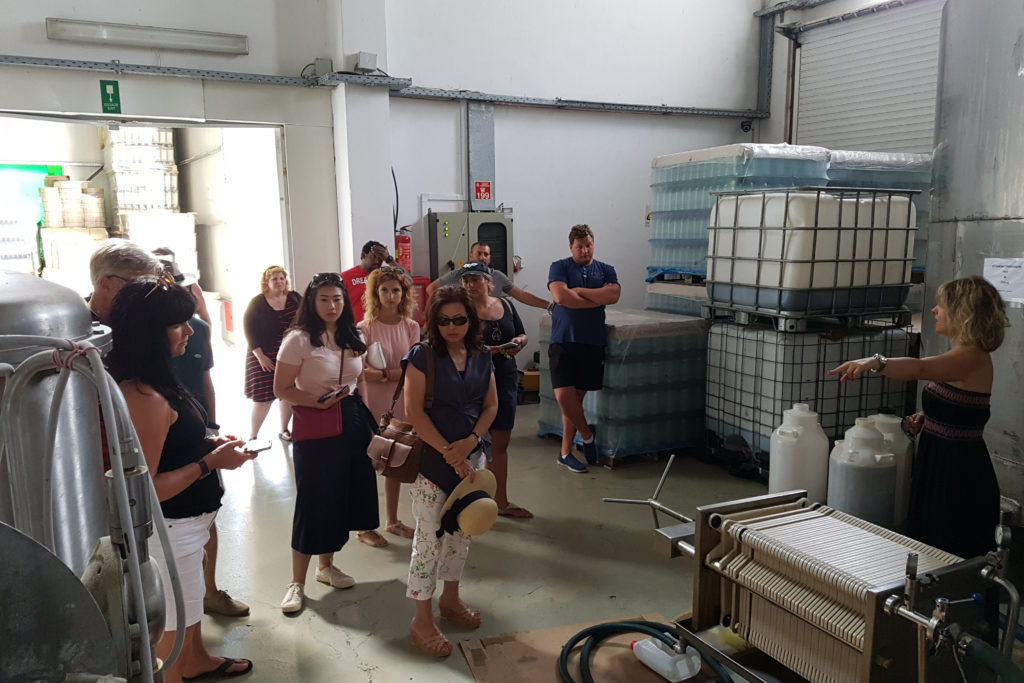 Wine and Olive oil tour