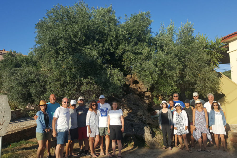 Wine and Olive oil tour