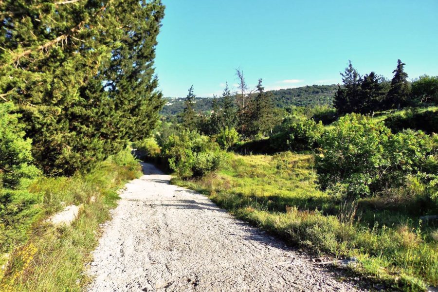 Nature walk Chania