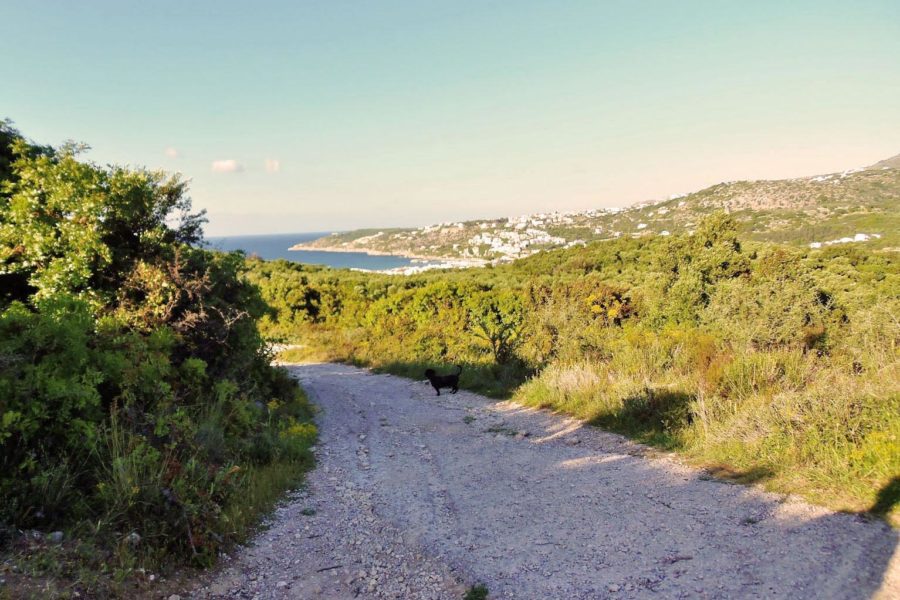 Nature walk Chania