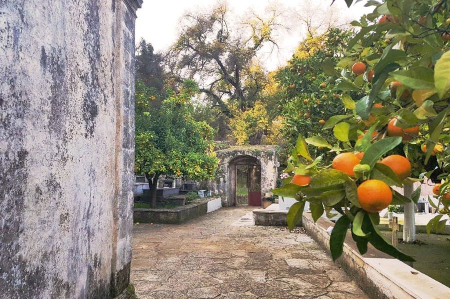 Chania Village tour