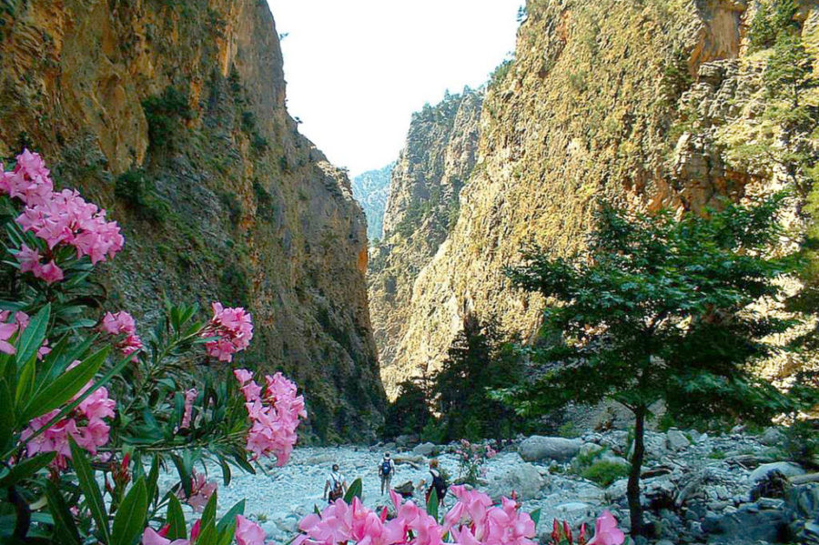 Samaria gorge tour