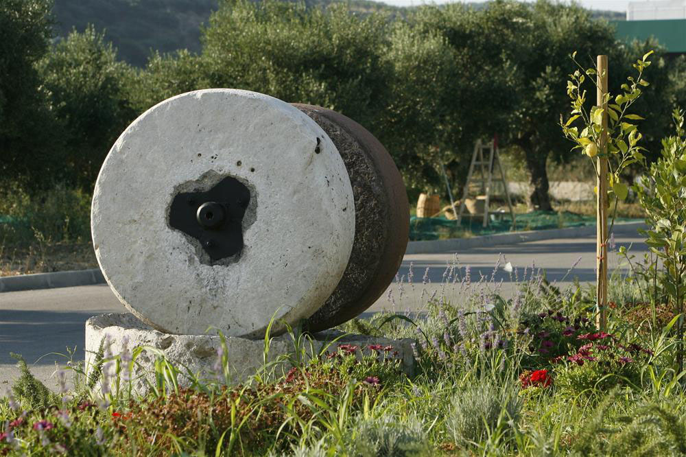 Cretan Wine, Beer and Olive Oil tour